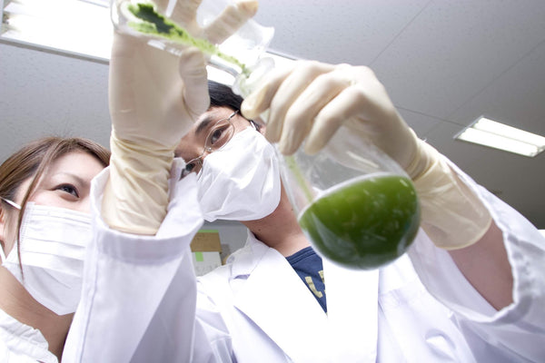 Analyse en laboratoire